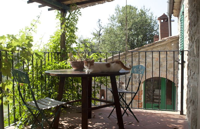 Antico Silbule - Foto 20