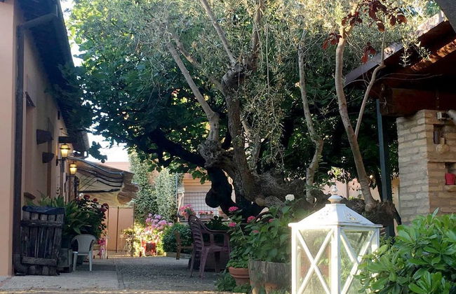 Agriturismo Le Macine - Foto 23