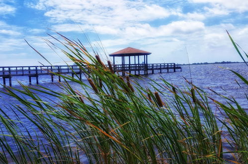 Foto 7 - Eagle Cottages at Gulf State Park