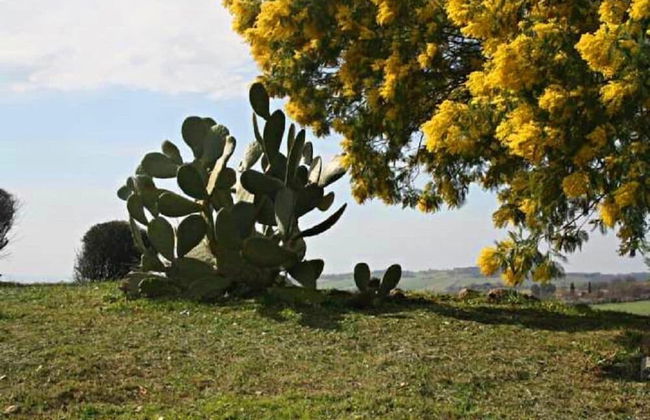 Agriturismo Verdicchio - Foto 11