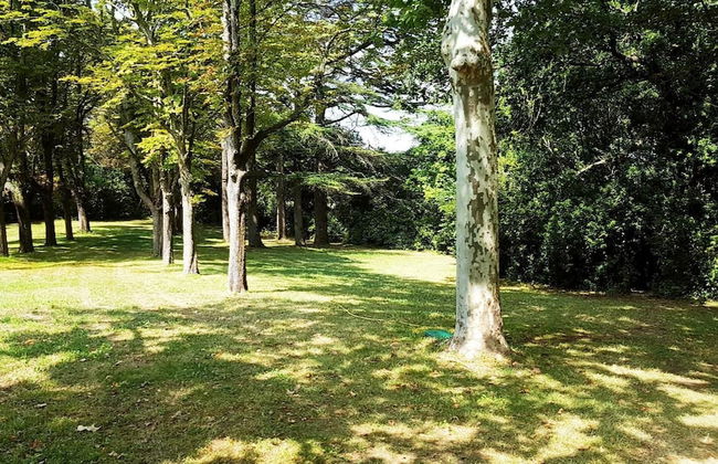 Chateau Saint Martin de Graves - Foto 41