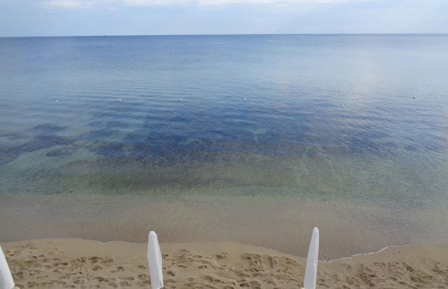 All'ombra del palmeto - Foto 52