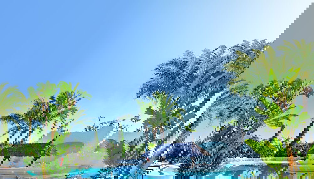 Imagem principal