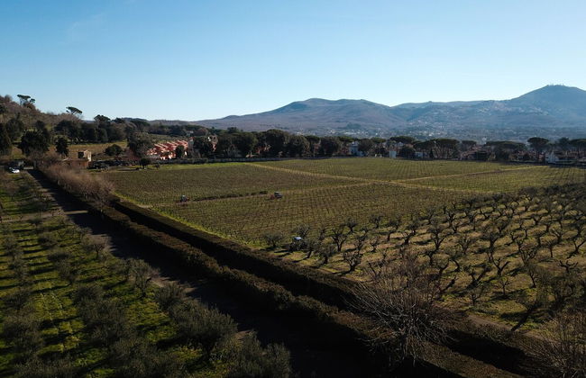 Villa Cavalletti - Foto 56