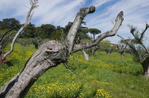 Foto 57 - Villa Cavalletti Camere