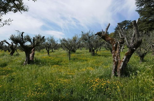 Photo 65 - Villa Cavalletti Camere