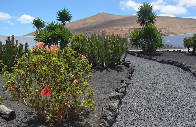 Casa del Erizo - Ecofinca - Foto 47
