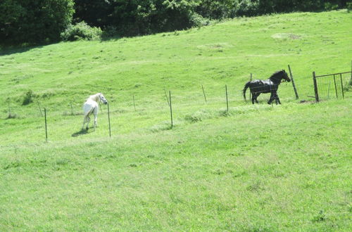 Photo 38 - Masseria Salecchia