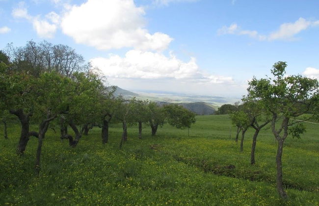 Masseria Salecchia - Foto 45