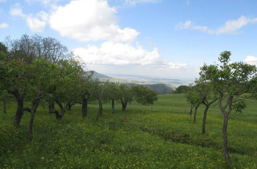 Foto 45 - Masseria Salecchia