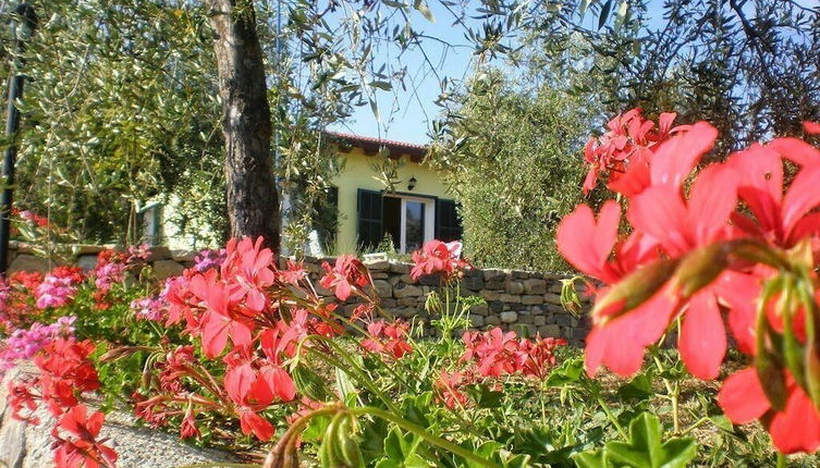 Foto 1 - Agriturismo il Grande Ulivo