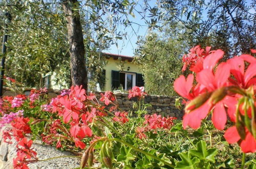 Foto 1 - Agriturismo il Grande Ulivo