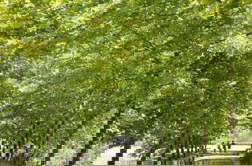 Foto 49 - Grecotel LUXME Costa Botanica