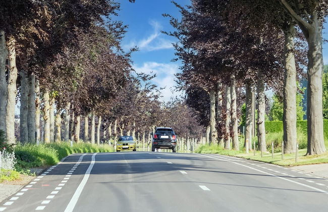 Beautiful Farmhouse in Pittem With Garden - Foto 39