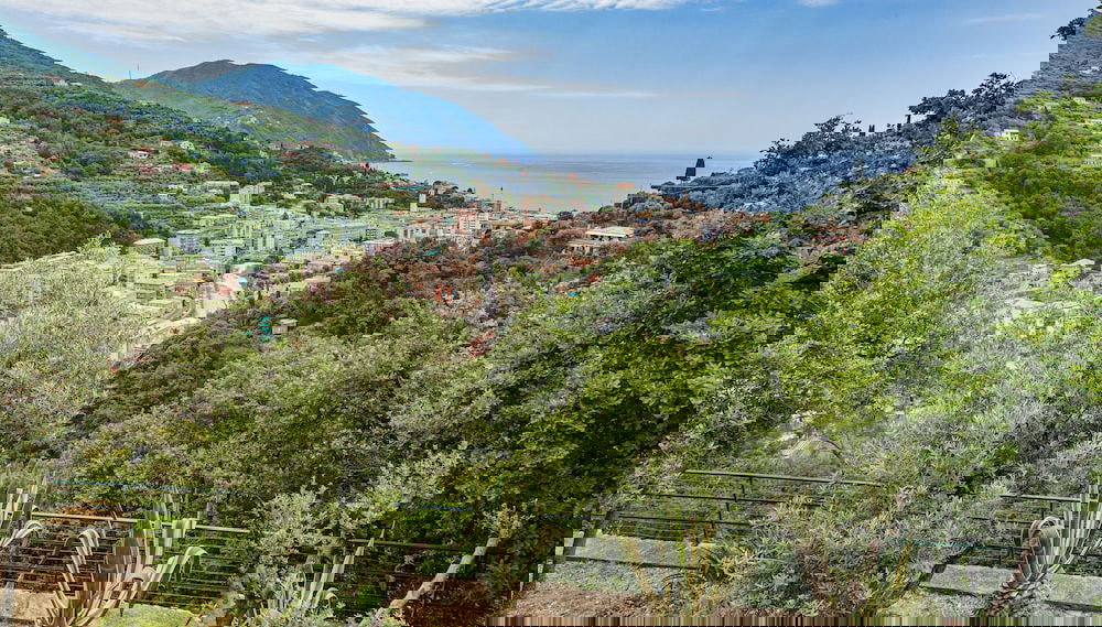 Image principale