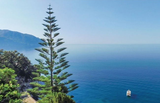 Villa With Pool in Recco Cinque Terr - Foto 56