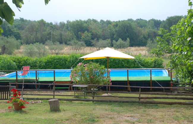 Silence and Relaxation in Countryside of Umbria - Foto 13