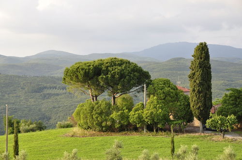 Photo 14 - Rustic Tuscan Apartment