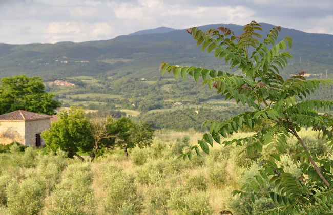 Rustic Tuscan Apartment - Foto 11