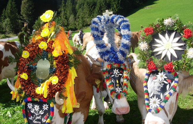Bergjuwel - Foto 48
