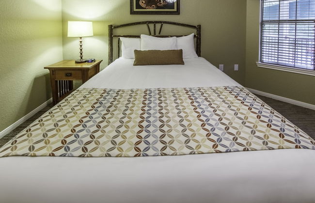 Holiday Inn Club Vacations Villages Resort at Lake Palestine by IHG - Foto 17