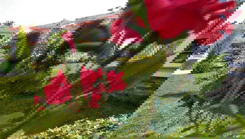 Image principale