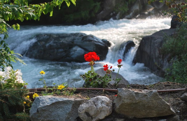 Le Moulin des Aravis - Foto 40