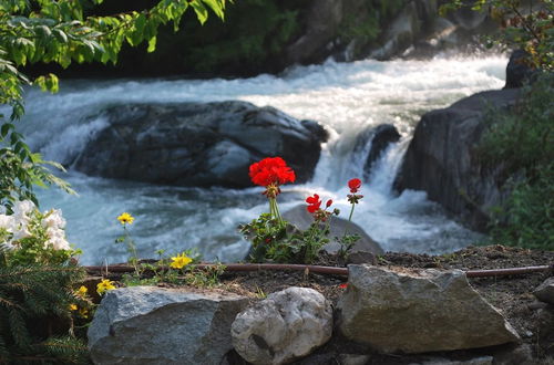 Foto 40 - Le Moulin des Aravis