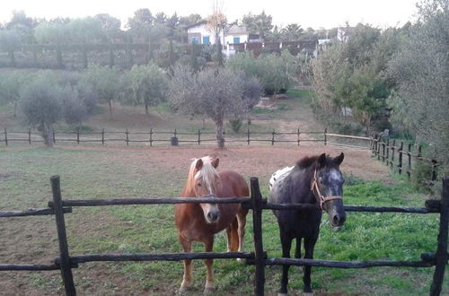 Photo 30 - Agriturismo Terranova