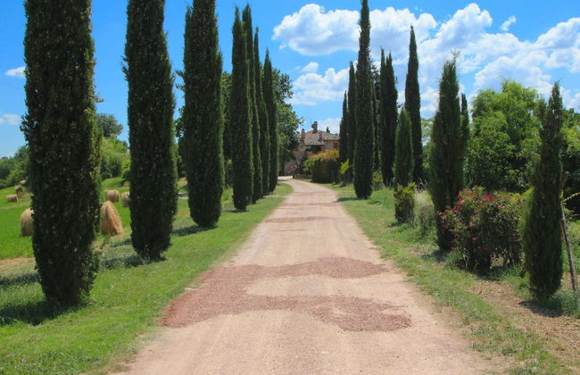 Elysian Escape - A Paradise - Foto 39