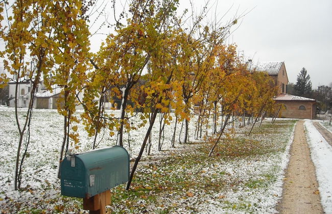 Agriturismo Loghino Sabbioni - Foto 24