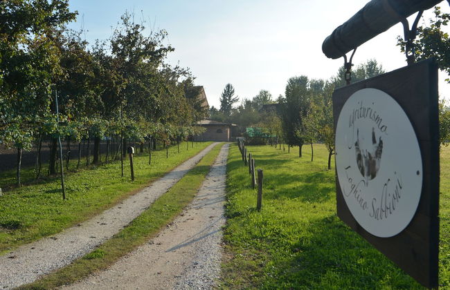 Agriturismo Loghino Sabbioni - Foto 31