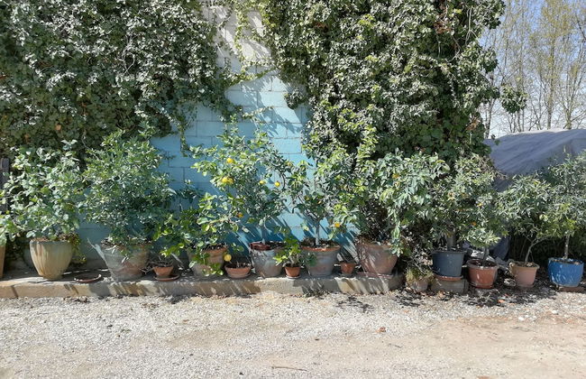 Agriturismo Loghino Sabbioni - Foto 32