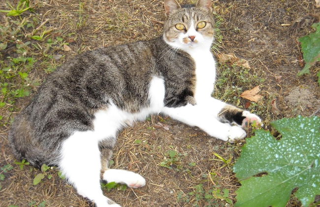 Agriturismo Loghino Sabbioni - Foto 26