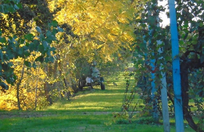 Agriturismo Loghino Sabbioni - Foto 25