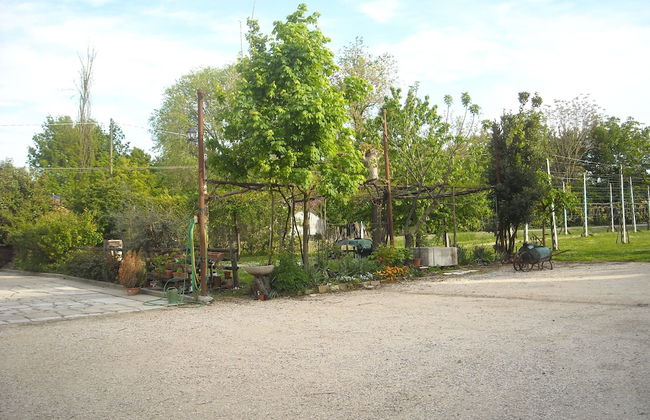 Agriturismo Loghino Sabbioni - Foto 27