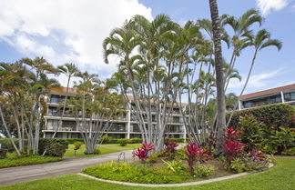 Photo 2 - Maui Parkshore - Maui Condo & Home