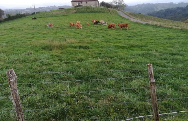 Casa Rural Aristondo - Foto 40