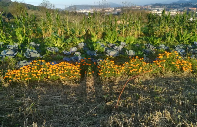 Casa Rural Aristondo - Foto 41