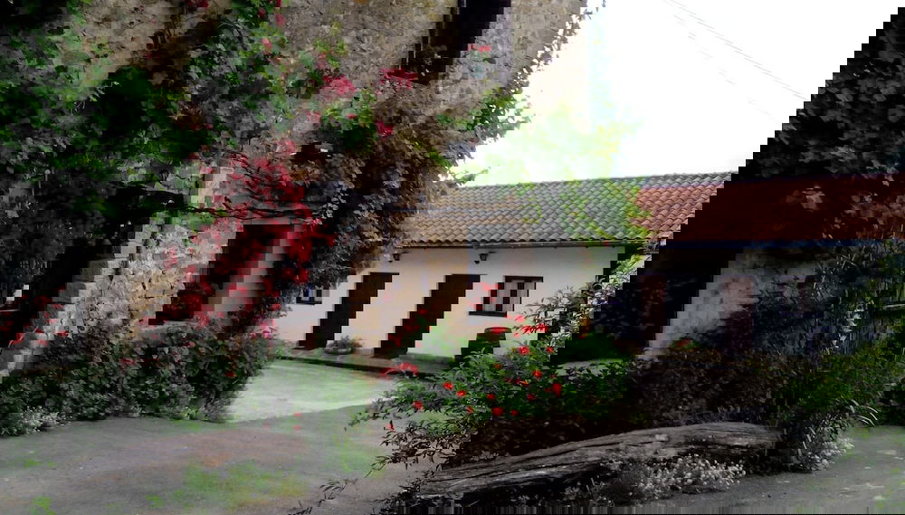 Image principale