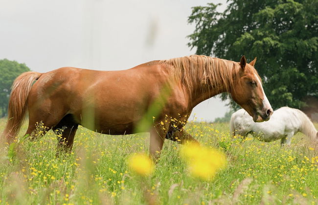 Farm With Lovely Panoramic Views - Photo 46