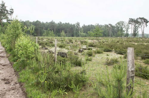 Photo 31 - Luxurious Chalet in Oud-turnhout With Large Garden