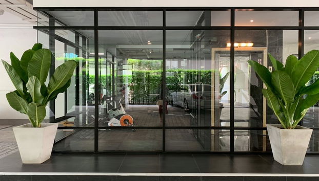 Entrada (vista interior)