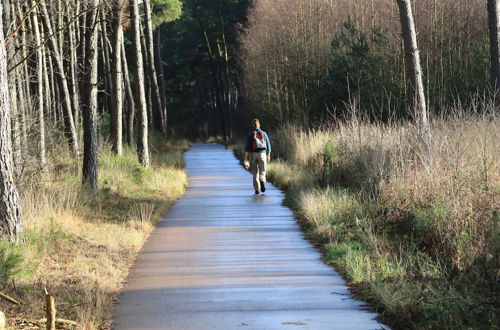 Photo 20 - Vakantiewoning Fossee