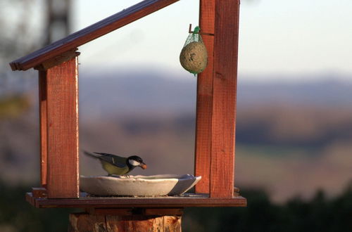 Photo 28 - Beautiful and Spacious Holiday Home With Petanque Court and Countryside Views