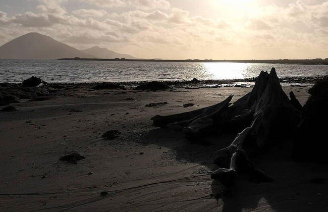 Nature Retreat - Sleeps 4 & Wild Ponies - Foto 15