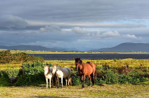 Photo 13 - Breathtaking Wildness on Ireland's Atlantic Coast