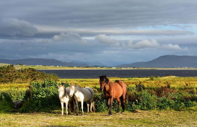 Nature Retreat - Sleeps 4 & Wild Ponies - Foto 8