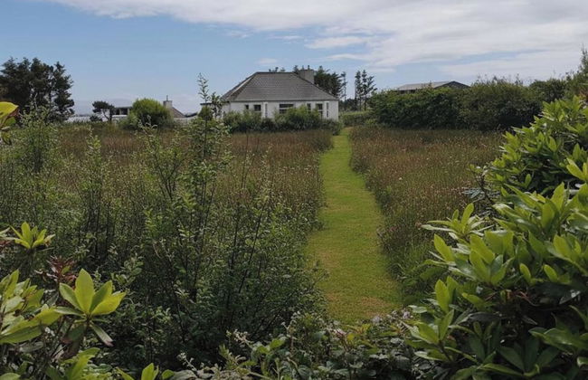 Nature Retreat - Sleeps 4 & Wild Ponies - Foto 15