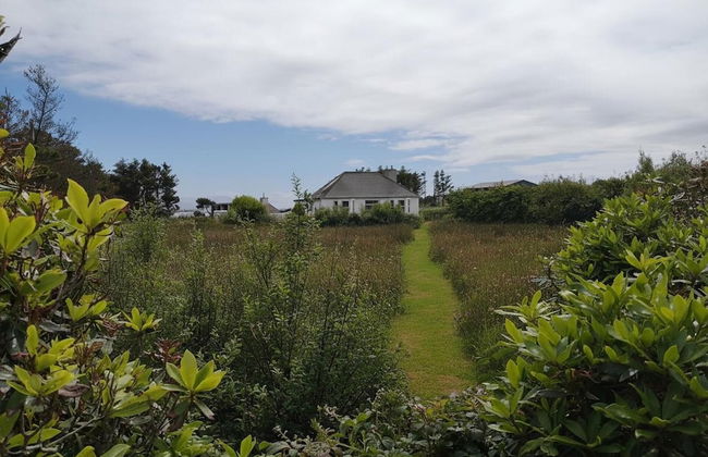 Nature Retreat - Sleeps 4 & Wild Ponies - Foto 14